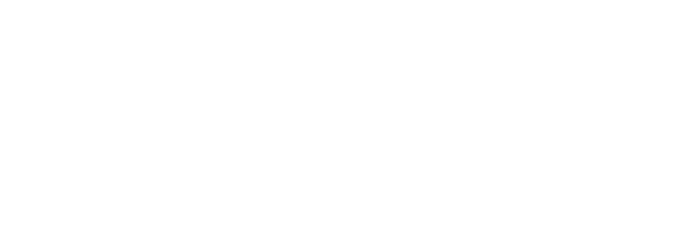 1701959408031_SBD_LOGO_WHITE