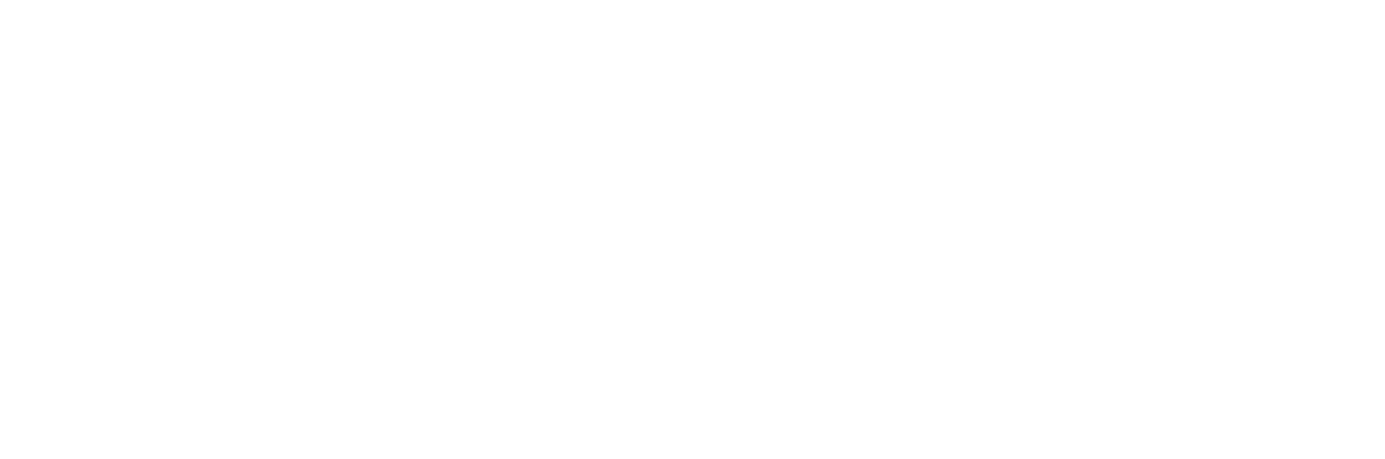 1710363443495_HealthFirst_White_Logo